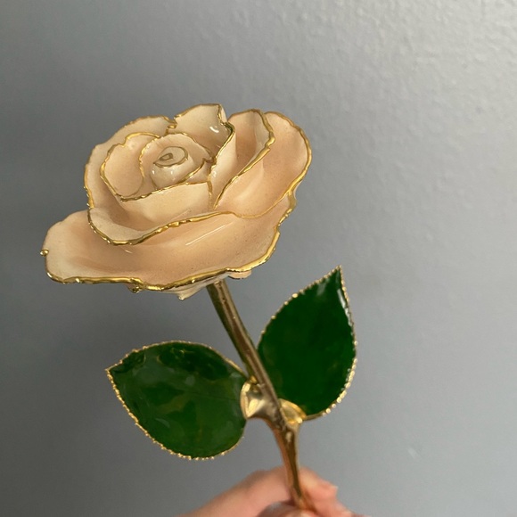 Gold dipped Rose - Picture 4 of 6